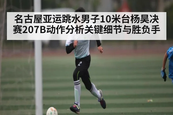 名古屋亚运跳水男子10米台杨昊决赛207B动作分析关键细节与胜负手